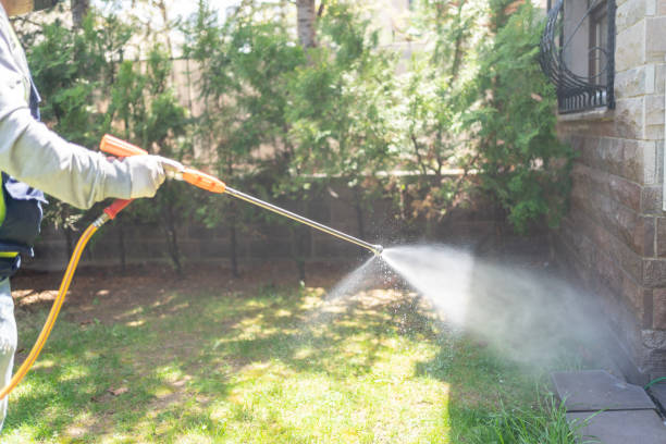 Best Organic or Eco-Friendly Pest Control  in Bent Creek, NC